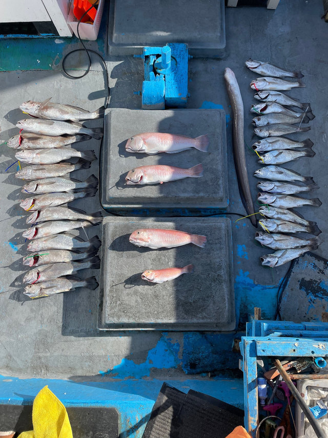 和歌山県で釣れたマアナゴの最新釣果 釣り情報 22年12月