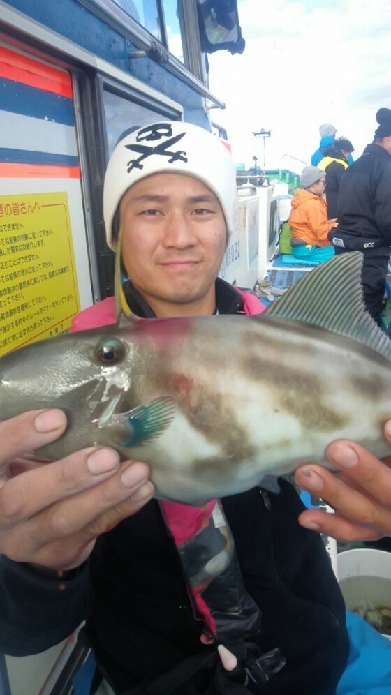 東京都で釣れたウマヅラハギの最新釣果 釣り情報 22年12月