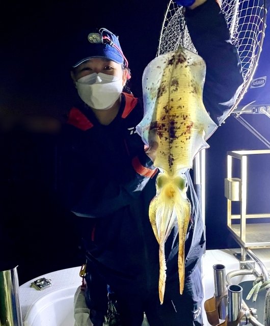 広島県で釣れたアオリイカの最新釣果 釣り情報 22年12月