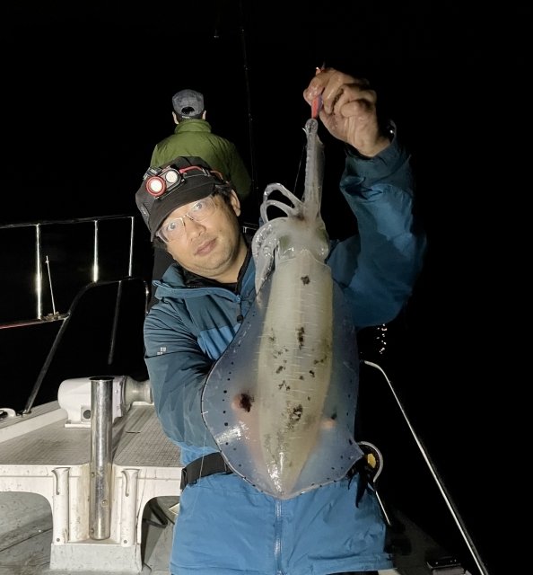 広島県で釣れたアオリイカの最新釣果 釣り情報 23年1月