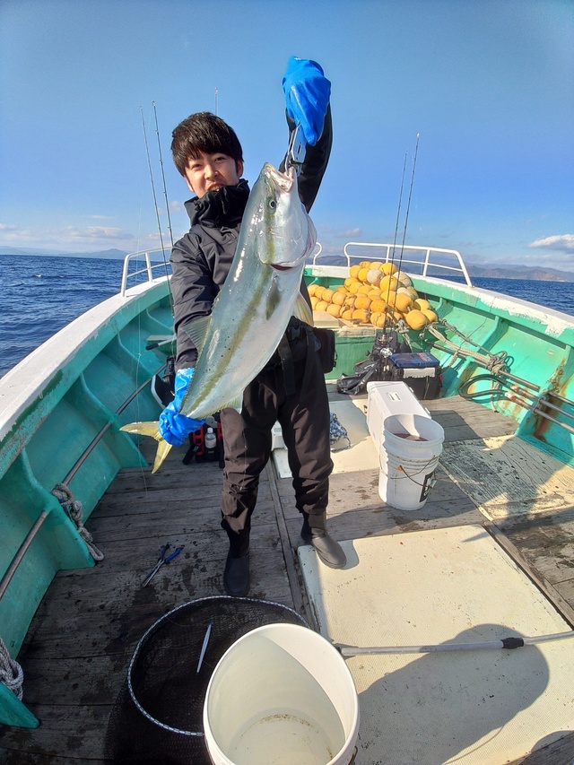 北海道 東北で釣れたブリの最新釣果 釣り情報 22年12月