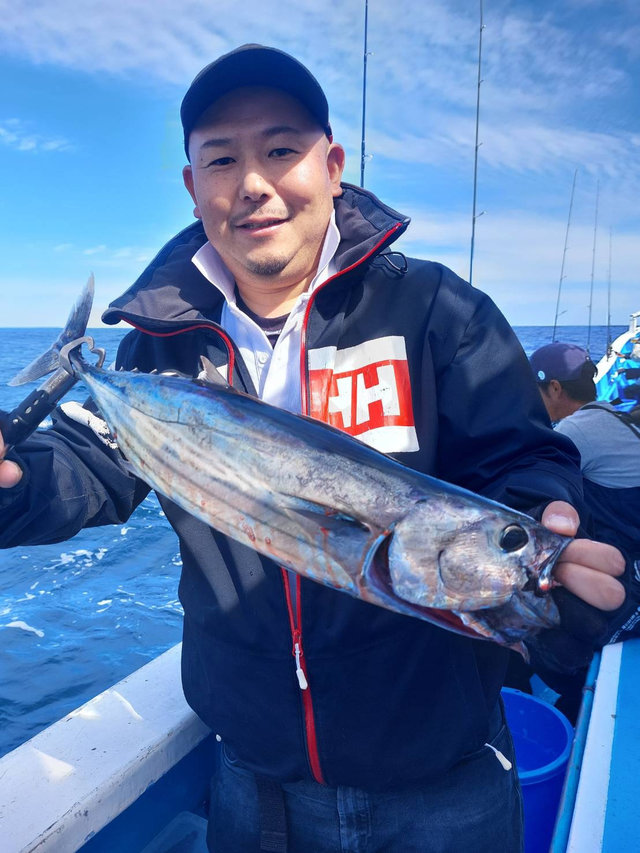 カツオを関東で釣った最新釣果、釣り情報【2024年4月】