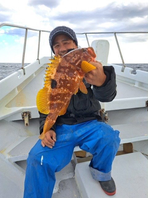 伊豆半島（静岡県）で釣れたアカハタの最新釣果、釣り情報【2023年10月】