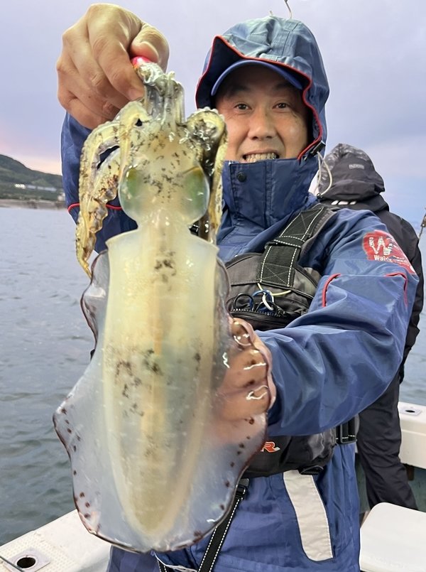 兵庫県で釣れたケンサキイカの最新釣果、釣り情報【2023年12月】