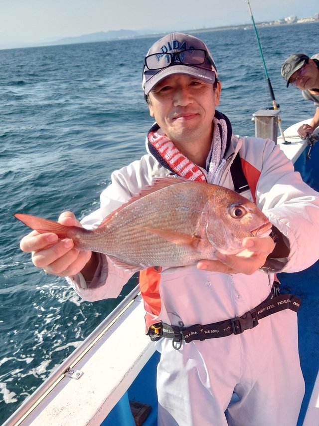 魚紳会 さんの 2023年06月29日のカツオの釣り・釣果情報(橘湾