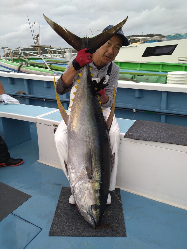 マグロ針 約4㎝ 1０本セット 巨大魚 カジキ クロマグロ キハダ フック 極太 アラ クエ ハタ 大物釣り 船釣り 強力 釣り針 延縄③の入札履歴  - すべての入札履歴