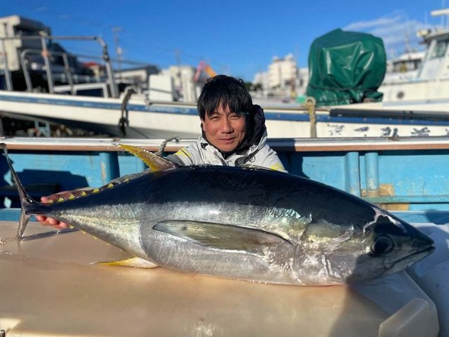 神奈川県で釣れたキハダの最新釣果、釣り情報【2024年4月】