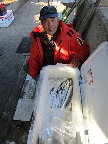 和歌山県で釣れたシマフグの釣り・釣果情報 - アングラーズ