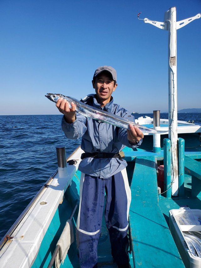 和歌山県で釣れたシマフグの釣り・釣果情報 - アングラーズ