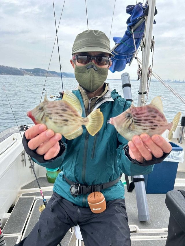 香川県で釣れたサワラの釣り・釣果情報 - アングラーズ