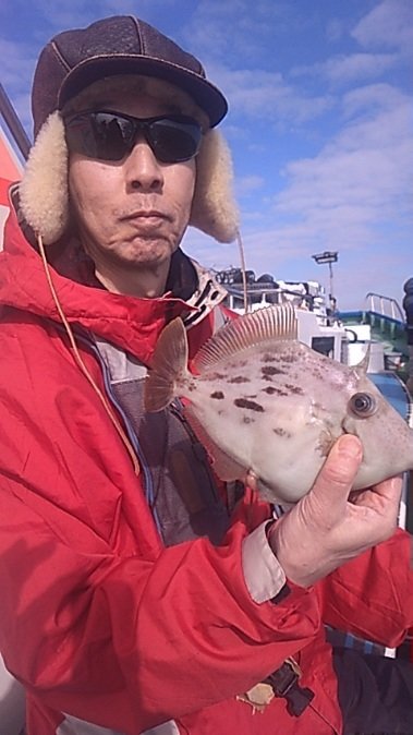 東京都で釣れたカワハギの最新釣果、釣り情報【2024年6月】