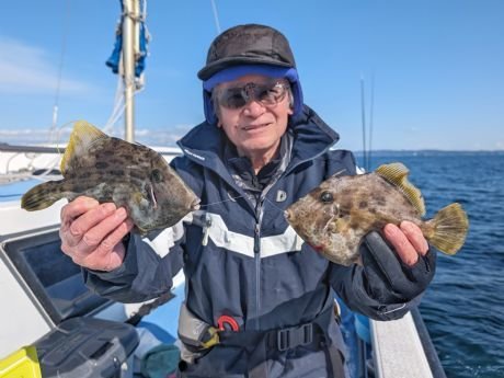 神奈川県で釣れたカワハギの最新釣果、釣り情報【2024年3月】