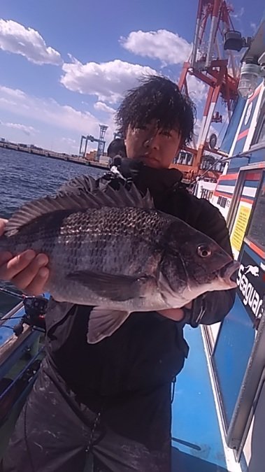 東京都で釣れたサワラの最新釣果、釣り情報【2024年4月】