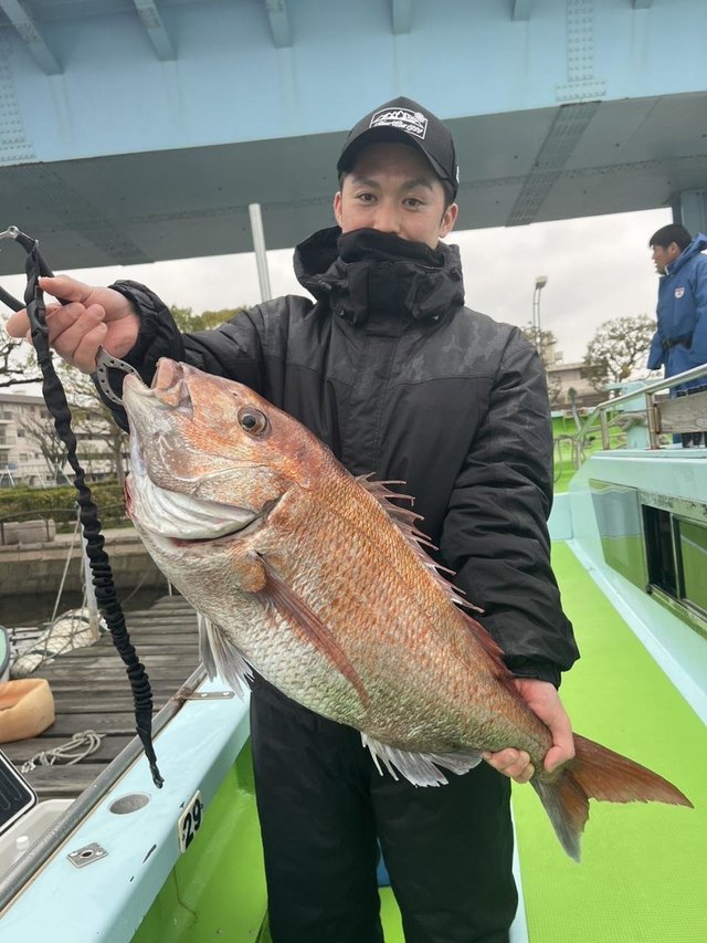 東京湾（神奈川県）で釣れたカサゴの最新釣果、釣り情報【2024年4月】