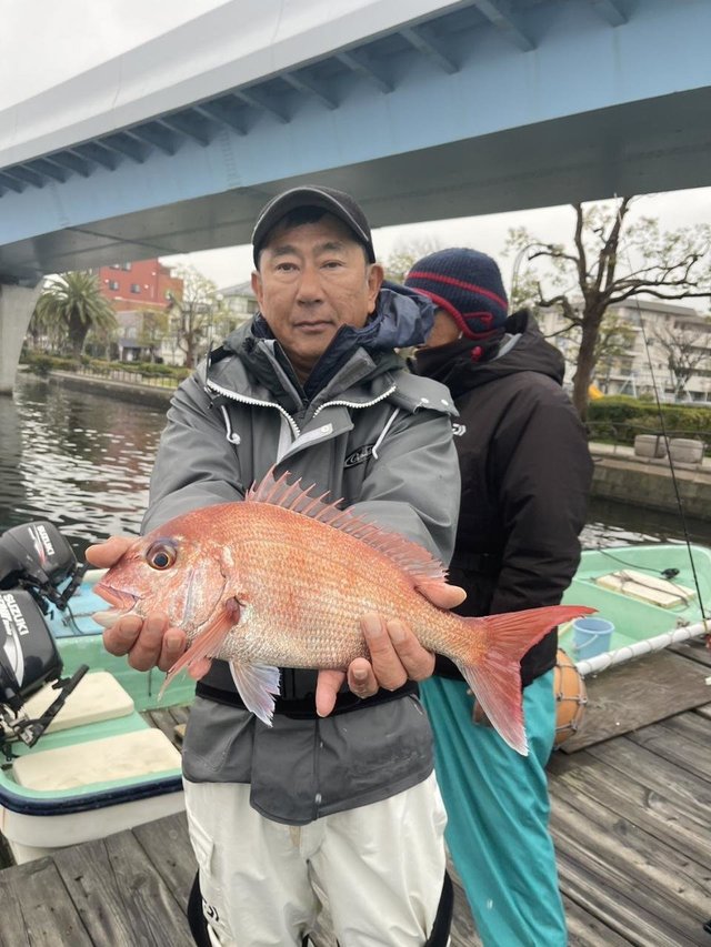 東京湾（神奈川県）で釣れたカサゴの最新釣果、釣り情報【2024年4月】