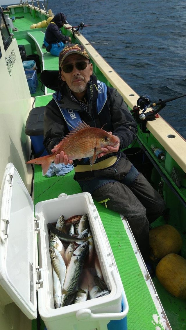 神奈川県で釣れたヒメの最新釣果、釣り情報【2024年12月】