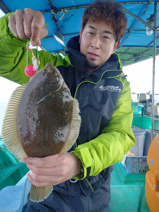 兵庫県で釣れたトラフグの最新釣果、釣り情報【2024年4月】