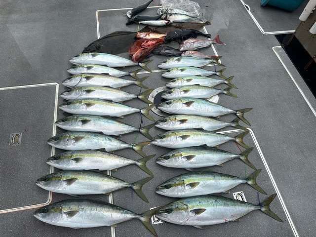 莉緒のネクストライフ さんの 2024年04月14日のヒラメの釣り・釣果情報(宮城県 - 松島湾) - アングラーズ