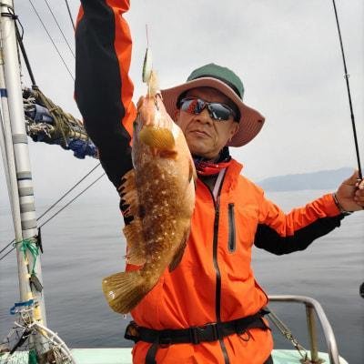 福井県で釣れたカサゴの最新釣果、釣り情報【2024年4月】