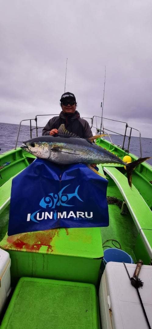 神奈川県で釣れたキハダの最新釣果、釣り情報【2024年4月】