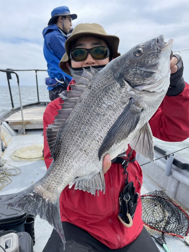 立馬崎で釣れたシロギスの釣り・釣果情報 - アングラーズ