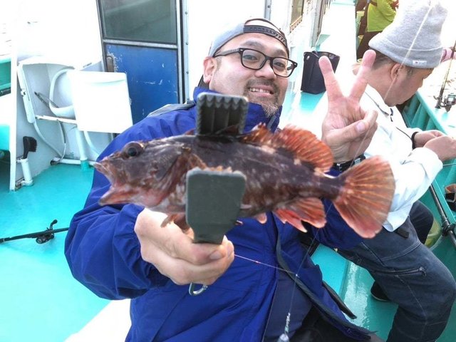 東京湾奥（千葉県）で釣れたカサゴの最新釣果、釣り情報【2024年4月】