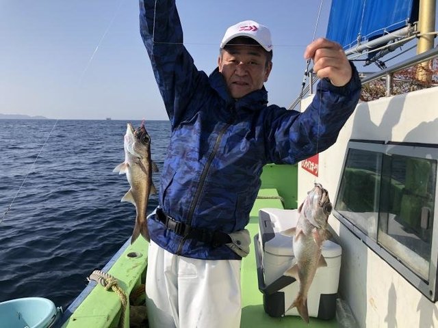 三浦半島（神奈川県）で釣れたクロムツの最新釣果、釣り情報【2024年4月】