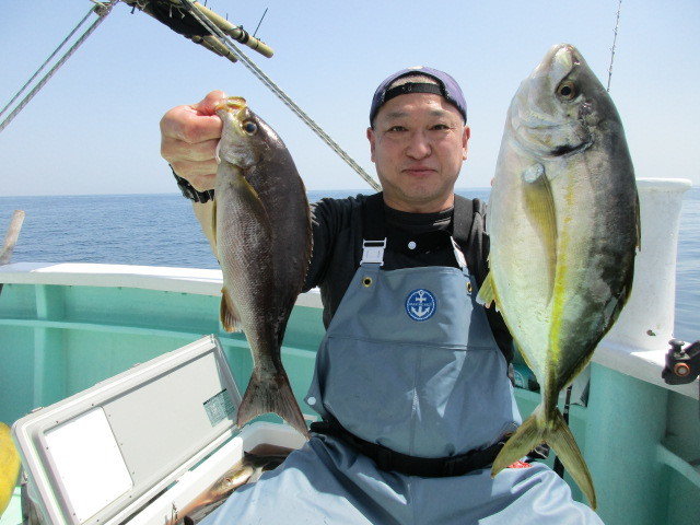 静岡県で釣れたシマアジの最新釣果、釣り情報【2024年5月】