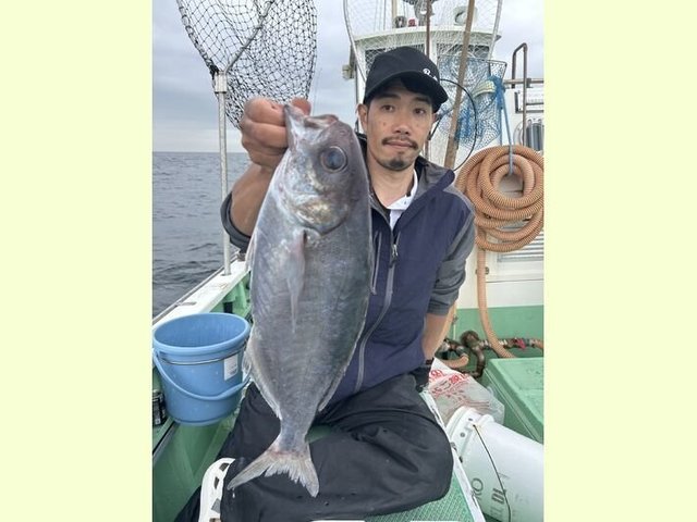 メダイ