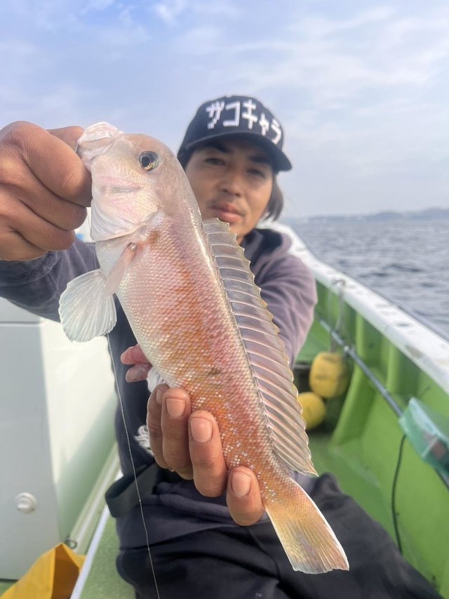 シロアマダイ