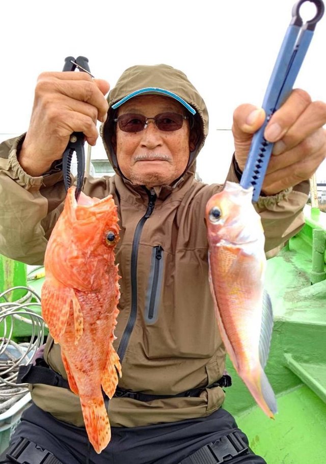 アマダイ(アカアマダイ)・オニカサゴ