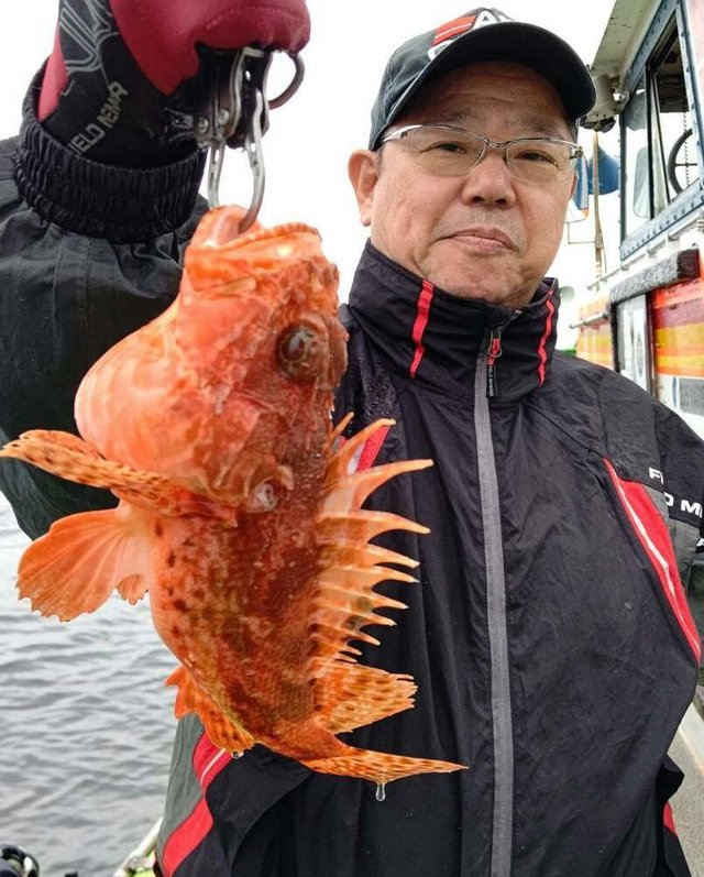 オニカサゴ