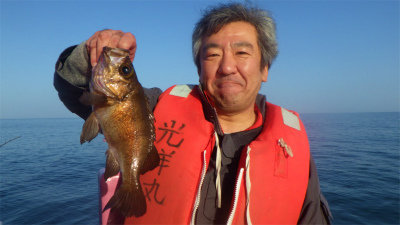 クロメバル(メバル)