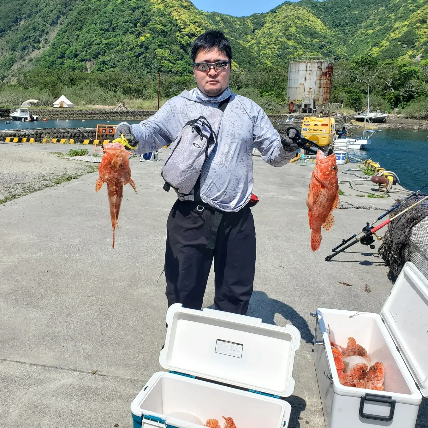 オニカサゴ