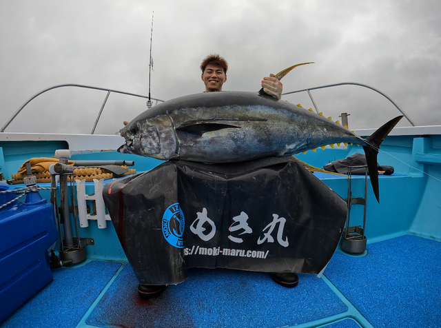 お気に入りの 伊豆七島、伊豆半島、ロックショア、ショアジギ ...