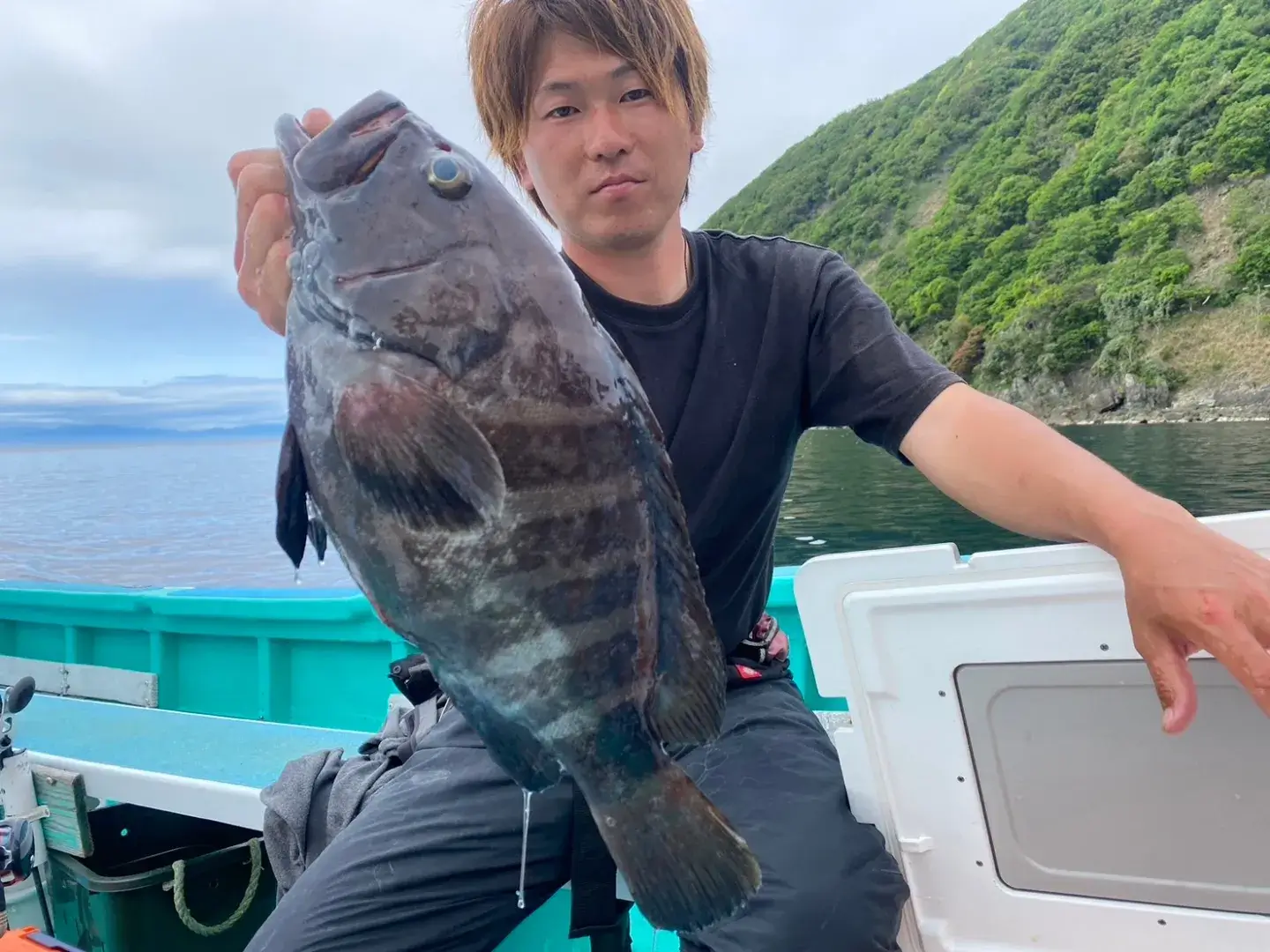 マハタモドキ