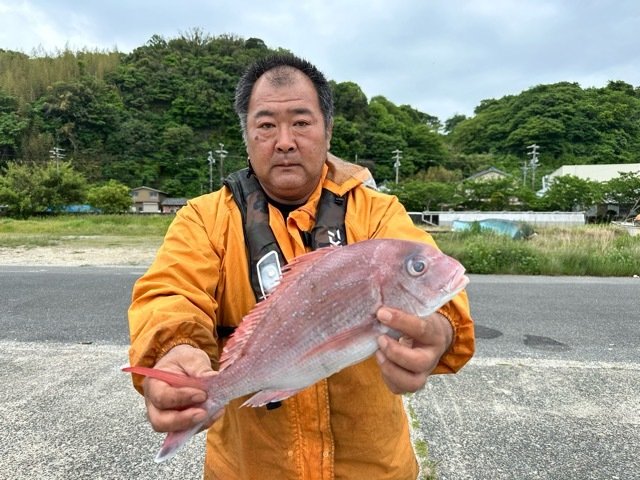 マダイ