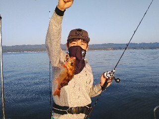 カサゴ