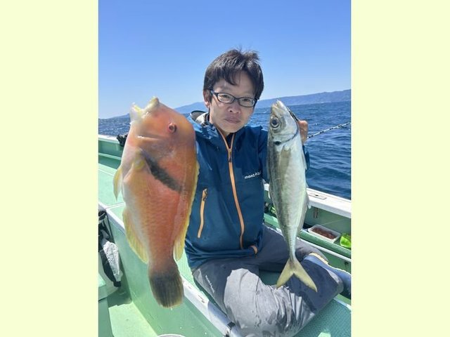 アジ(マアジ)・イラ