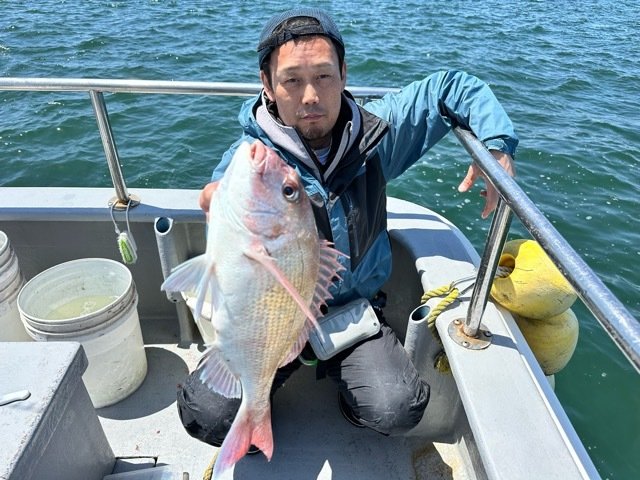 マダイ