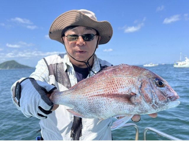マダイ