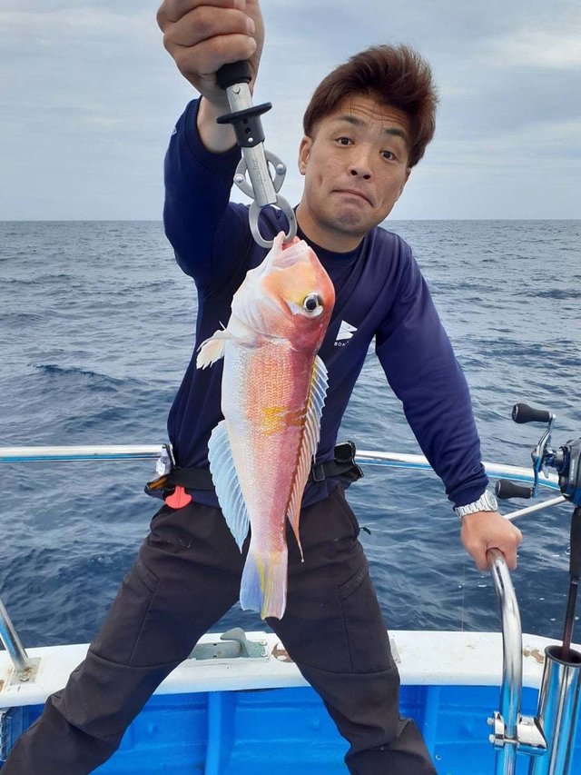 アマダイ(アカアマダイ)