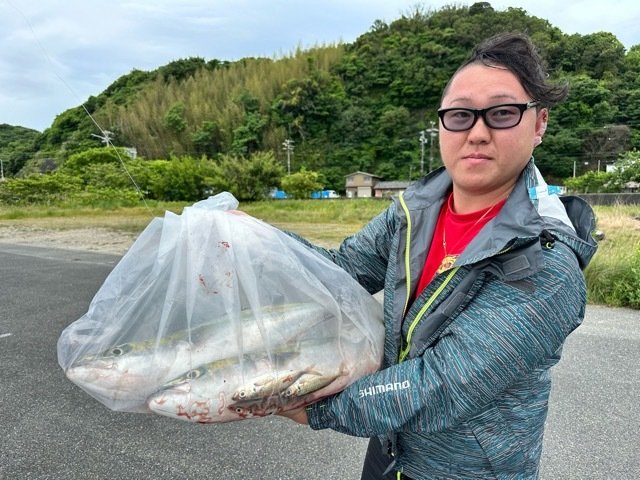 ワラサ(ブリ)