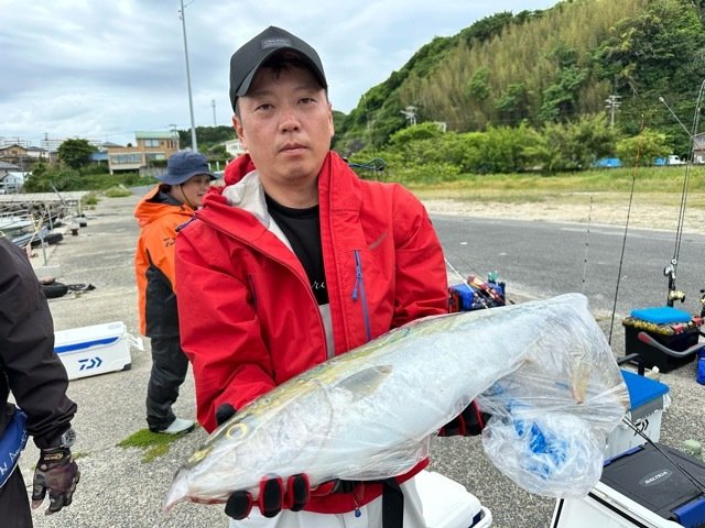 ワラサ(ブリ)