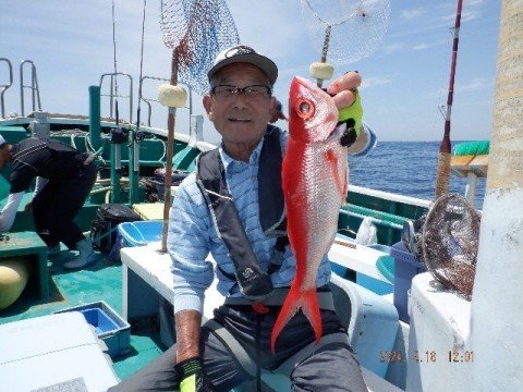 オナガダイ(ハマダイ)