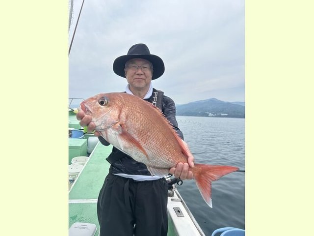 マダイ
