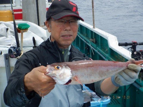 ヒメダイ