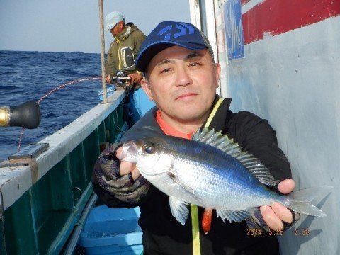 アオダイ