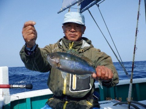 アオダイ