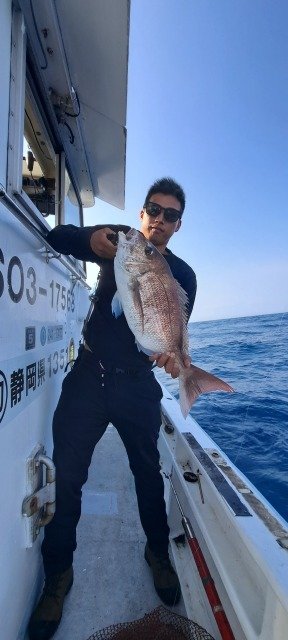 マダイ